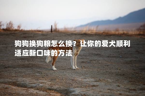 狗狗换狗粮怎么换？让你的爱犬顺利适应新口味的方法