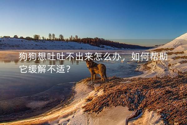 狗狗想吐吐不出来怎么办，如何帮助它缓解不适？