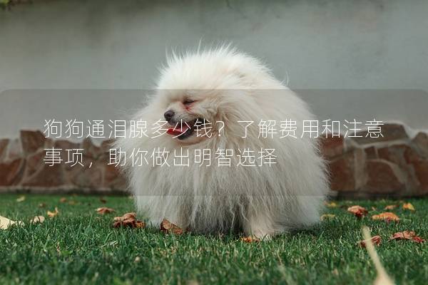狗狗通泪腺多少钱？了解费用和注意事项，助你做出明智选择