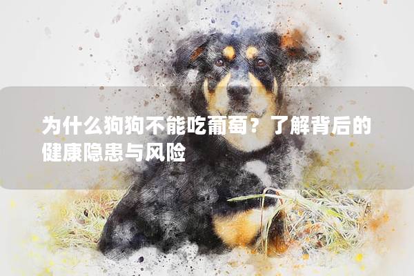 为什么狗狗不能吃葡萄？了解背后的健康隐患与风险