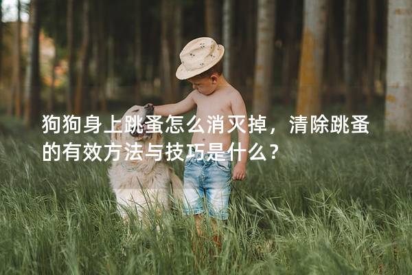 狗狗身上跳蚤怎么消灭掉，清除跳蚤的有效方法与技巧是什么？