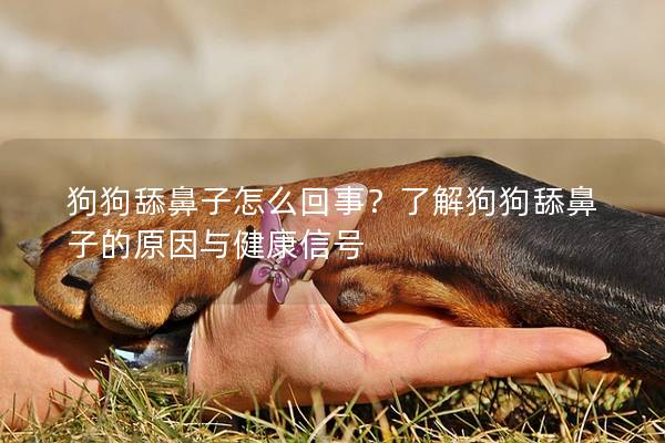 狗狗舔鼻子怎么回事？了解狗狗舔鼻子的原因与健康信号