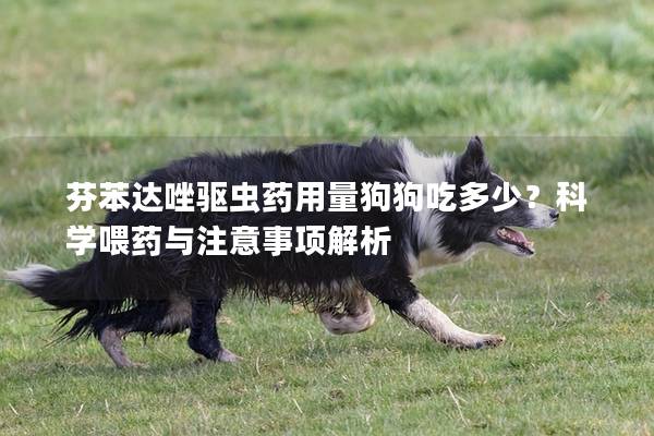 芬苯达唑驱虫药用量狗狗吃多少？科学喂药与注意事项解析