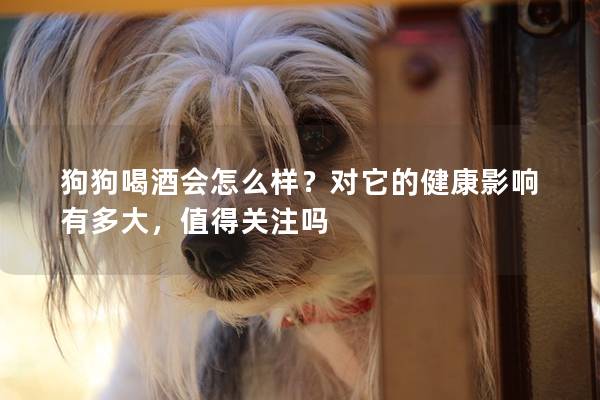 狗狗喝酒会怎么样？对它的健康影响有多大，值得关注吗