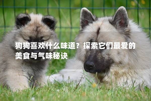 狗狗喜欢什么味道？探索它们最爱的美食与气味秘诀