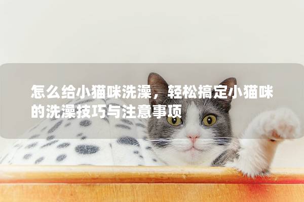 怎么给小猫咪洗澡，轻松搞定小猫咪的洗澡技巧与注意事项