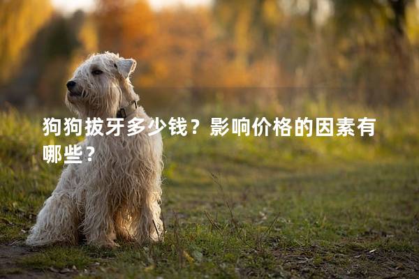 狗狗拔牙多少钱？影响价格的因素有哪些？
