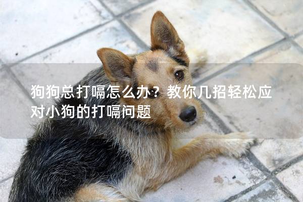 狗狗总打嗝怎么办？教你几招轻松应对小狗的打嗝问题