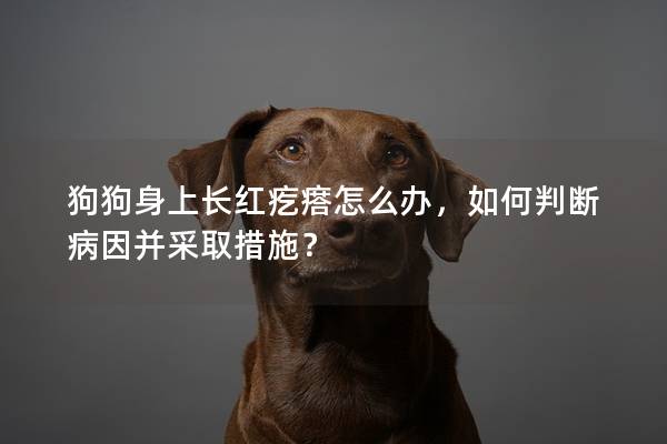 狗狗身上长红疙瘩怎么办，如何判断病因并采取措施？