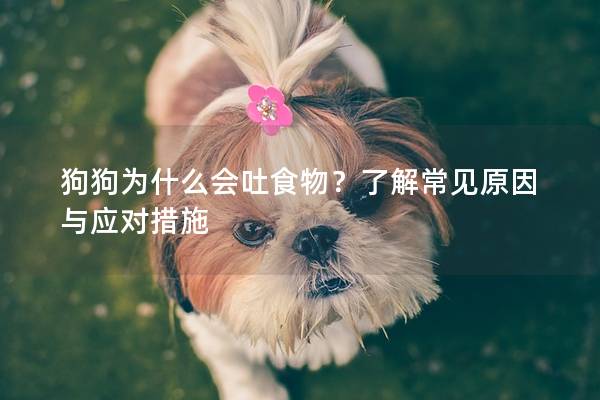 狗狗为什么会吐食物？了解常见原因与应对措施