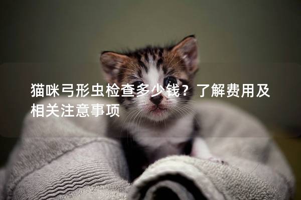 猫咪弓形虫检查多少钱？了解费用及相关注意事项