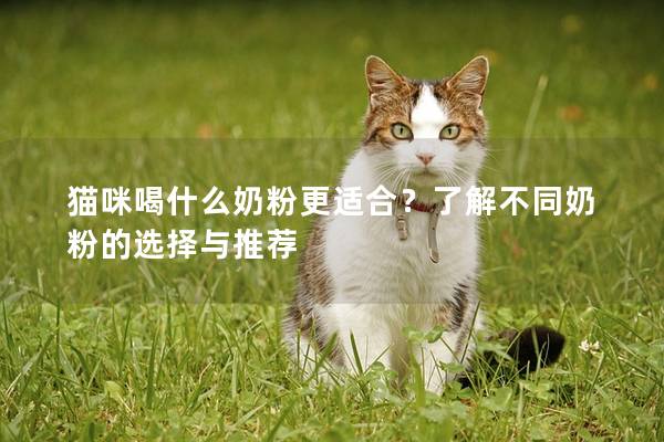 猫咪喝什么奶粉更适合？了解不同奶粉的选择与推荐