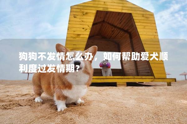 狗狗不发情怎么办，如何帮助爱犬顺利度过发情期？