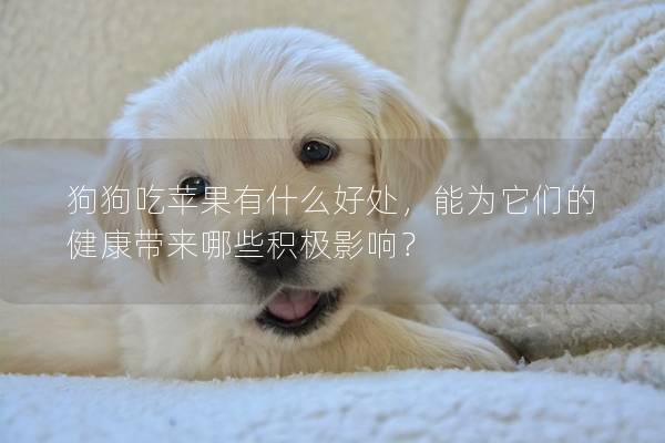 狗狗吃苹果有什么好处，能为它们的健康带来哪些积极影响？