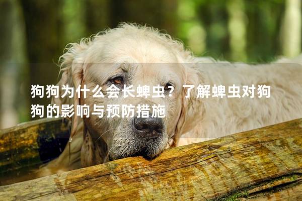 狗狗为什么会长蜱虫？了解蜱虫对狗狗的影响与预防措施