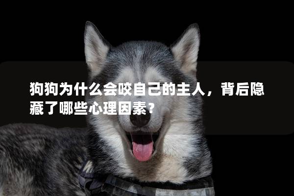 狗狗为什么会咬自己的主人，背后隐藏了哪些心理因素？