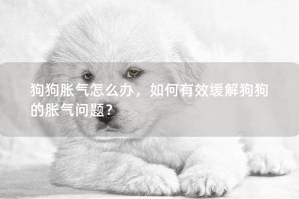 狗狗胀气怎么办，如何有效缓解狗狗的胀气问题？