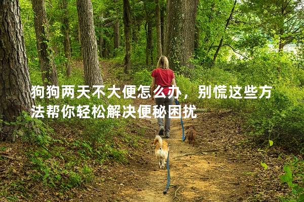 狗狗两天不大便怎么办，别慌这些方法帮你轻松解决便秘困扰