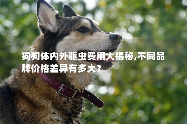 狗狗体内外驱虫费用大揭秘,不同品牌价格差异有多大？