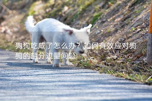 狗狗吃咸了怎么办？如何有效应对狗狗的盐分过量问题