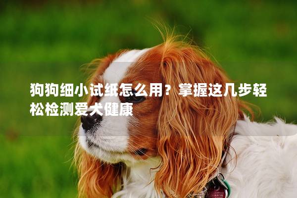 狗狗细小试纸怎么用？掌握这几步轻松检测爱犬健康