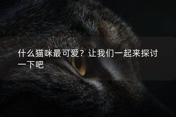 什么猫咪最可爱？让我们一起来探讨一下吧