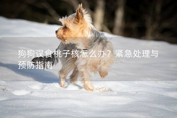 狗狗误食桃子核怎么办？紧急处理与预防指南