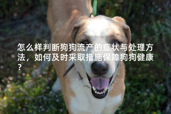怎么样判断狗狗流产的症状与处理方法，如何及时采取措施保障狗狗健康？