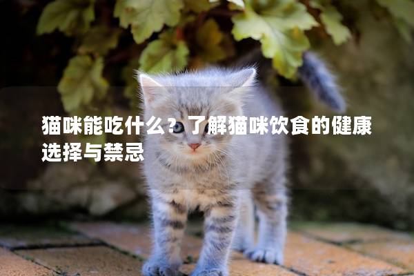 猫咪能吃什么？了解猫咪饮食的健康选择与禁忌