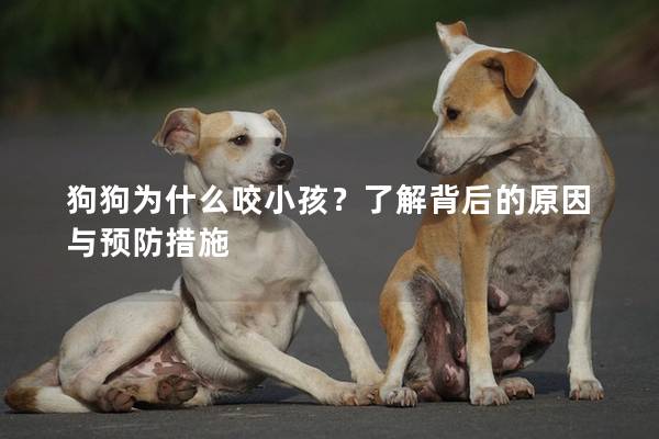 狗狗为什么咬小孩？了解背后的原因与预防措施