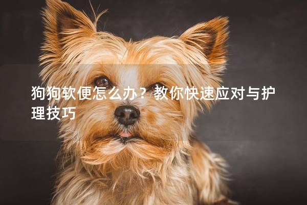 狗狗软便怎么办？教你快速应对与护理技巧
