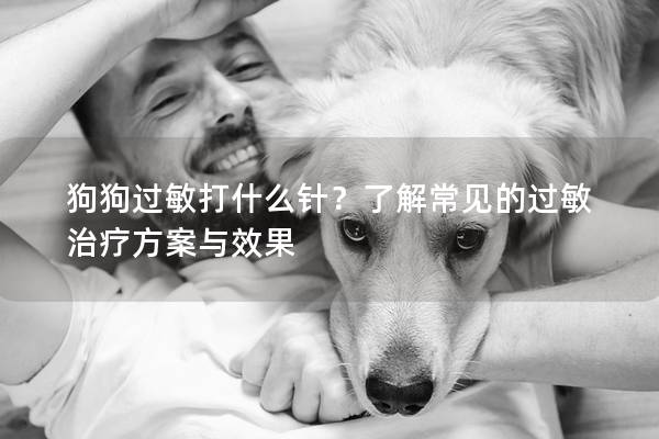 狗狗过敏打什么针？了解常见的过敏治疗方案与效果