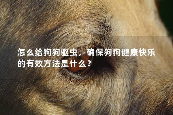怎么给狗狗驱虫，确保狗狗健康快乐的有效方法是什么？