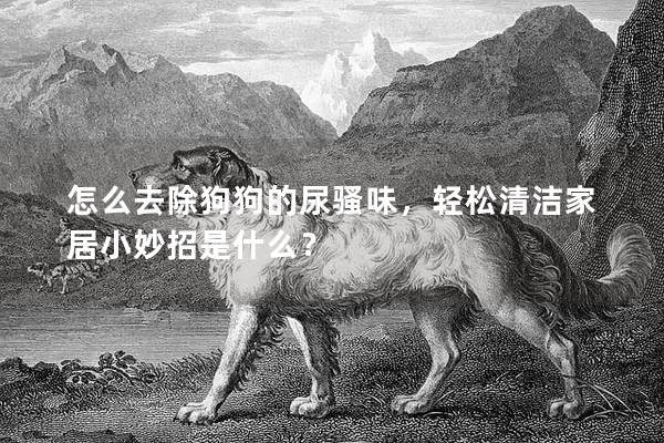 怎么去除狗狗的尿骚味，轻松清洁家居小妙招是什么？