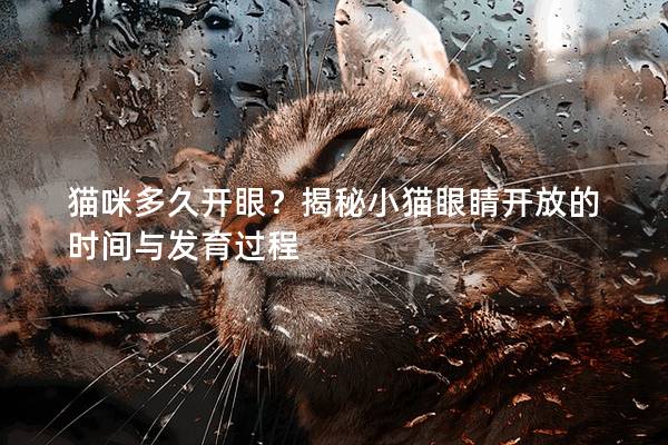 猫咪多久开眼？揭秘小猫眼睛开放的时间与发育过程