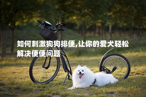 如何刺激狗狗排便,让你的爱犬轻松解决便便问题