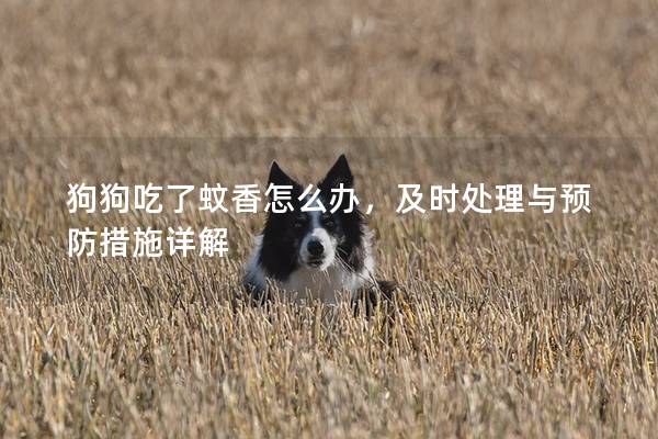 狗狗吃了蚊香怎么办，及时处理与预防措施详解