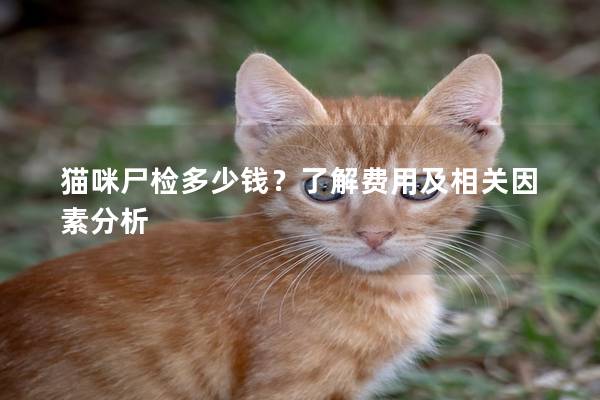 猫咪尸检多少钱？了解费用及相关因素分析