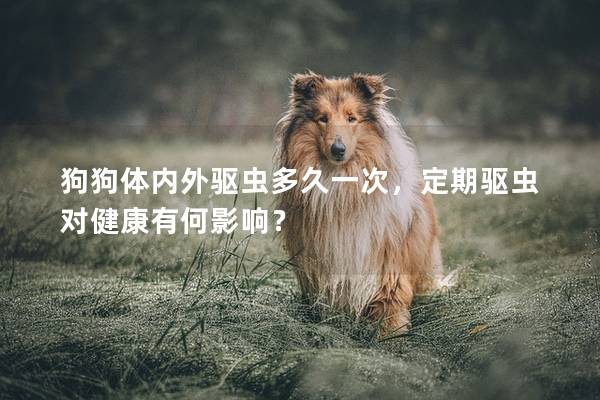 狗狗体内外驱虫多久一次，定期驱虫对健康有何影响？