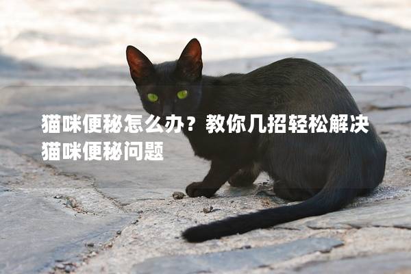 猫咪便秘怎么办？教你几招轻松解决猫咪便秘问题