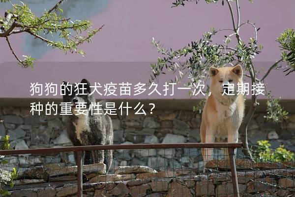 狗狗的狂犬疫苗多久打一次，定期接种的重要性是什么？