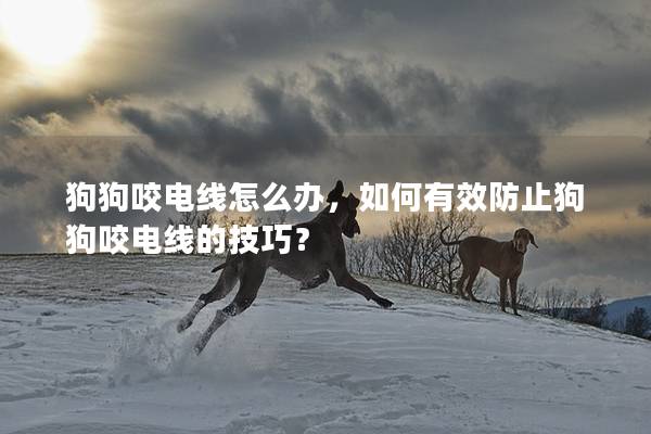 狗狗咬电线怎么办，如何有效防止狗狗咬电线的技巧？