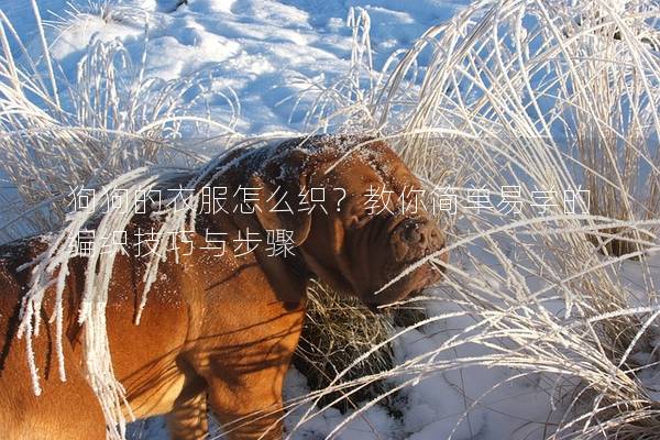 狗狗的衣服怎么织？教你简单易学的编织技巧与步骤