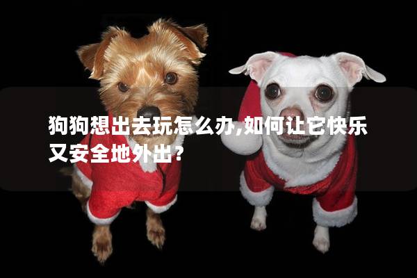 狗狗想出去玩怎么办,如何让它快乐又安全地外出？