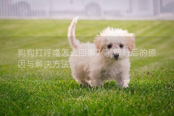 狗狗打呼噜怎么回事？了解背后的原因与解决方法