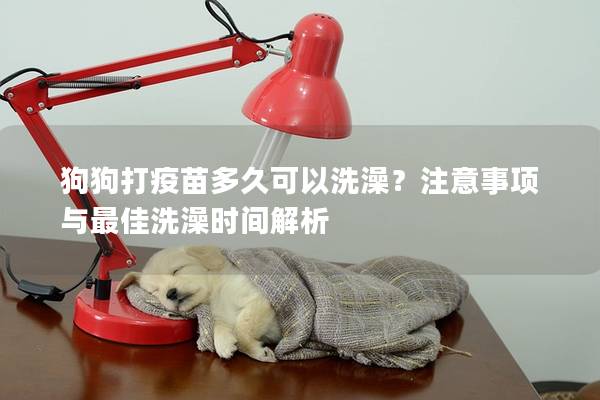 狗狗打疫苗多久可以洗澡？注意事项与最佳洗澡时间解析