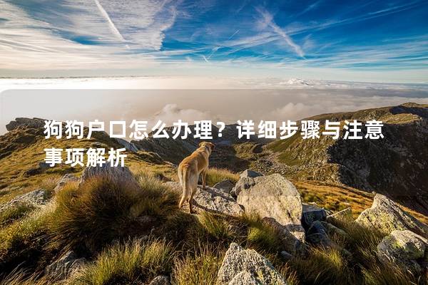 狗狗户口怎么办理？详细步骤与注意事项解析