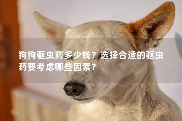 狗狗驱虫药多少钱？选择合适的驱虫药要考虑哪些因素？