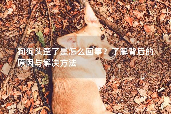 狗狗头歪了是怎么回事？了解背后的原因与解决方法