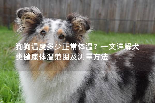 狗狗温度多少正常体温？一文详解犬类健康体温范围及测量方法
